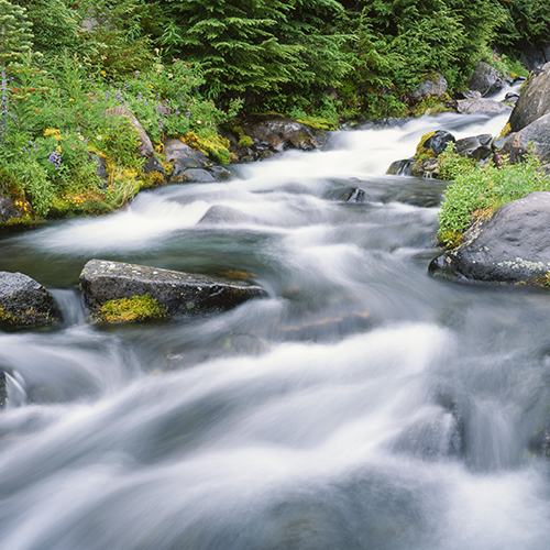 water stewardship